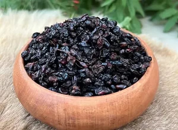 فروش زرشک سیاه مشهد + قیمت خرید به صرفه